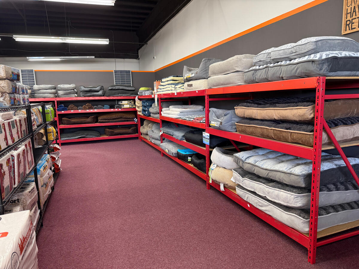 More Beds More Beds